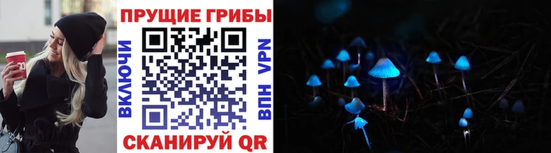 Псилоцибиновые грибы мицелий Купить где Мурино